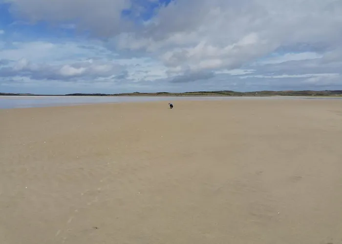 住宿加早餐酒店 Kilcashel House, Ardara, F94 P802 *